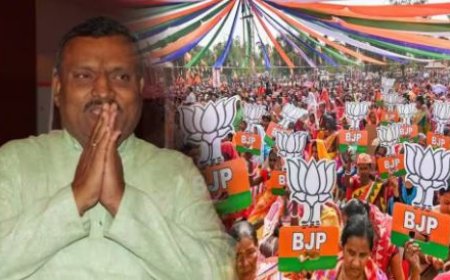 नागपुरात भाजपकडे इच्छुकांचा महापूर; एका जागेसाठी 10 उमेदवार, शहर अध्यक्षांनी मित्रपक्षांना घातली अट..